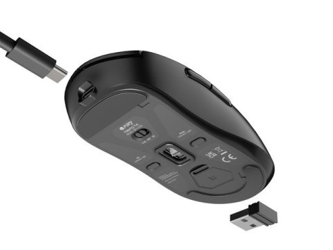 Natec Mysz Fury TANTO T4 RGB 12000DPI bezprzewodowa czarna