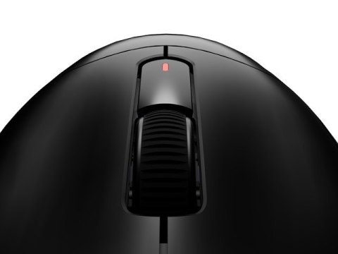 Natec Mysz Fury TANTO T4 RGB 12000DPI bezprzewodowa czarna