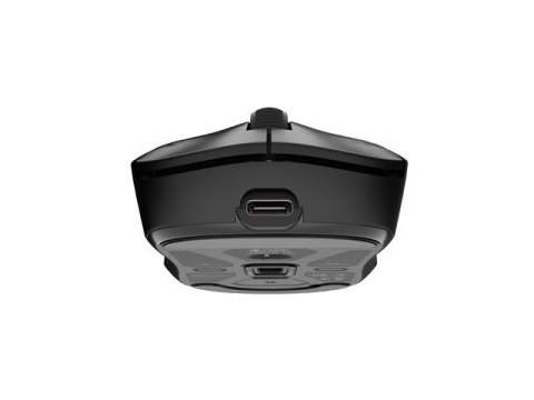 Natec Mysz Fury TANTO T4 RGB 12000DPI bezprzewodowa czarna