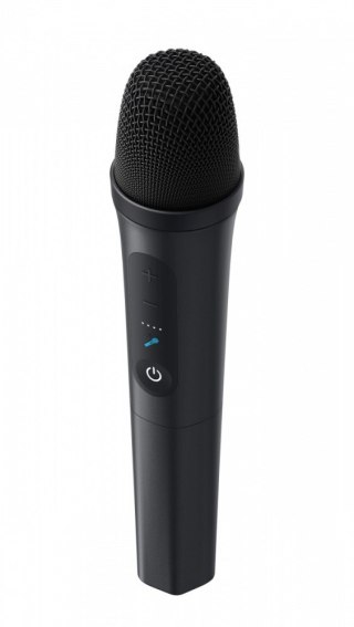 Anker Głośnik Soundcore Rave 3S czarny