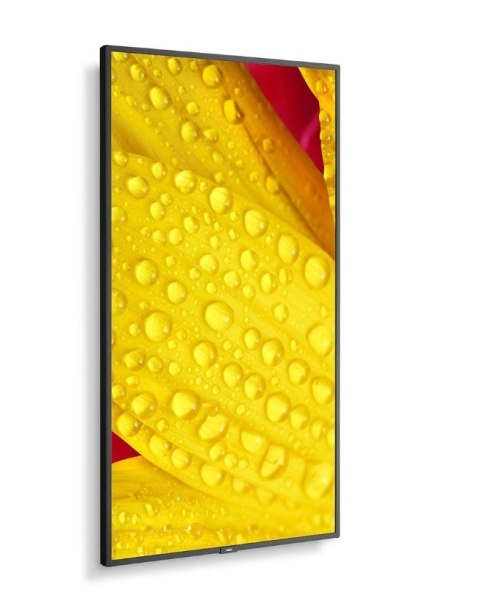 NEC Monitor wielkoformatowy MultiSync M551-2 55 cali UHD 500cd/m2 24/7