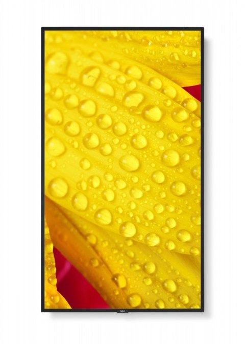 NEC Monitor wielkoformatowy MultiSync M651-2 65 cali UHD 500cd/m2 24/7