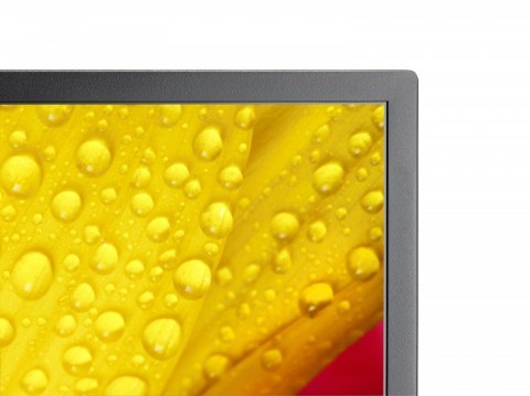 NEC Monitor wielkoformatowy MultiSync M651-2 65 cali UHD 500cd/m2 24/7