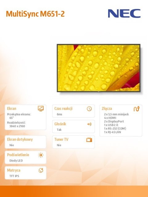 NEC Monitor wielkoformatowy MultiSync M651-2 65 cali UHD 500cd/m2 24/7