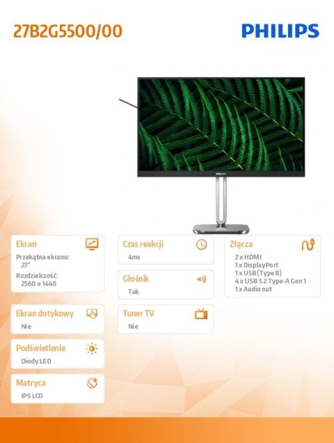 Philips Monitor 27B2G5500 27 cali IPS 100Hz HDMIx2 DP Pivot Głośniki