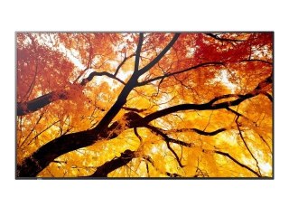 Sharp Monitor wielkoformatowy MultiSync M552 55 cali 550cd/m2 24/7