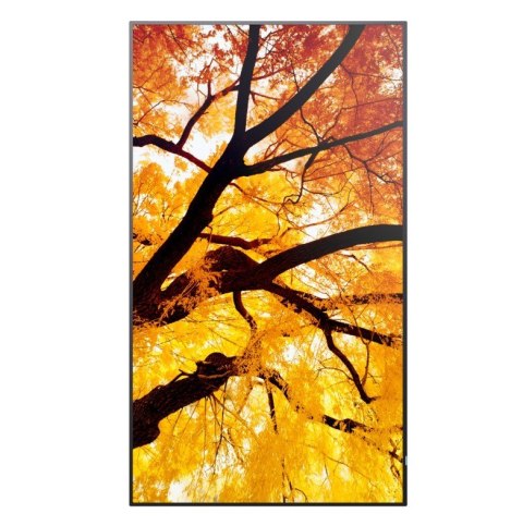 Sharp Monitor wielkoformatowy MultiSync M552 55 cali 550cd/m2 24/7