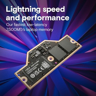 Crucial Pamięć do notebooka DDR5 LPCAMM2 32GB/7500 LPDDR5X