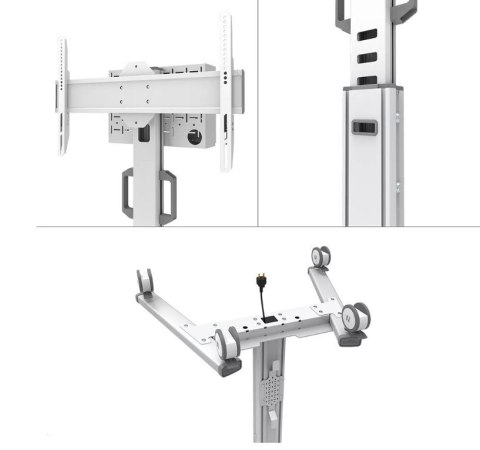 Neomounts Wózek na TV FL50S-825WH1 37-75 cali BIAŁY