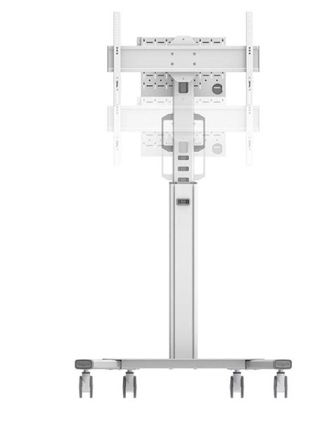 Neomounts Wózek na TV FL50S-825WH1 37-75 cali BIAŁY