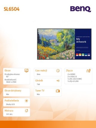 Benq Monitor 65 cali SL6504 4K LED 1200:1/3840x2160/HDMI