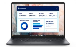 Dell Laptop Dell Pro 13 Premium PA13250 W11P U5-236V/16GB/512GB SSD CL35/13.3 FHD+/Arc/FgrPr/Cams&Mic/5G WWAN+BT/BcklKb/3C/vPro/3YPS 