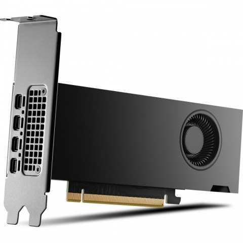 HP Inc. Karta graficzna NVIDIA RTX 2000 Ada 16GB 4mDP GFX 8D6B8AA