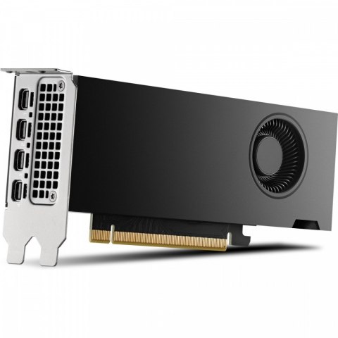 HP Inc. Karta graficzna NVIDIA RTX 2000 Ada 16GB 4mDP GFX 8D6B8AA