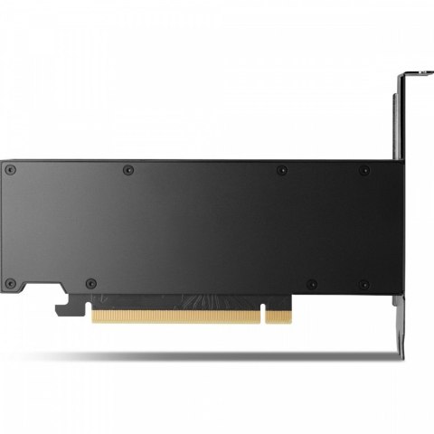 HP Inc. Karta graficzna NVIDIA RTX 2000 Ada 16GB 4mDP GFX 8D6B8AA