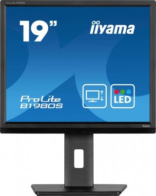 IIYAMA Monitor 19 cali B1980S-B1 HDMI, DP, PIVOT, HAS/150mm