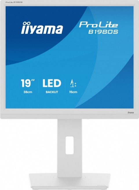 IIYAMA Monitor 19 cali B1980S-W1 HDMI, DP, PIVOT, HAS/150mm