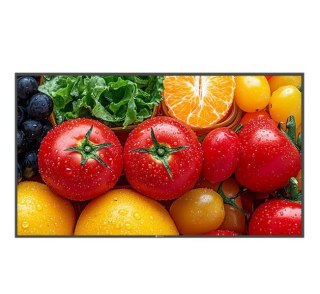 AG NEOVO Monitor wielkoformatowy QM-5503 CZARNY 500cd/m2 5000:1 24/7 4K