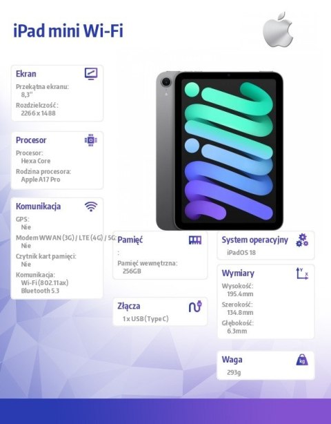 Apple IPad mini Wi-Fi 256GB Gwiezdna szarość