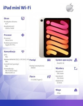 Apple IPad mini Wi-Fi 256GB Księżycowa poświata