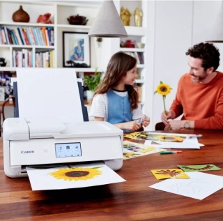 Canon Urządzenie wielofunkcyjne atramentowe TS9551Ca Białe