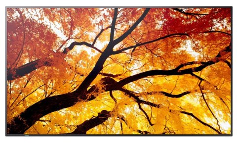 Sharp Monitor wielkoformatowy MultiSync M502 50 cali 550cd/m2 24/7