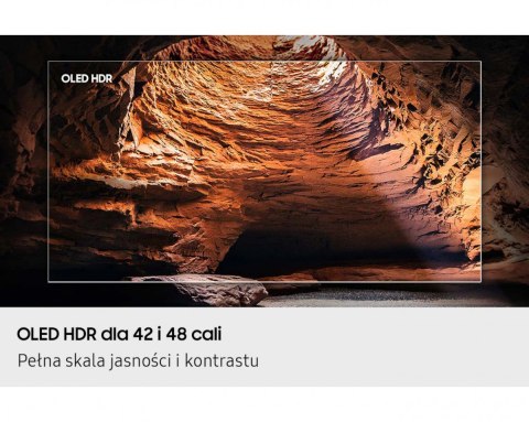 Samsung Telewizor OLED 48 cali QE48S90FAEXXH