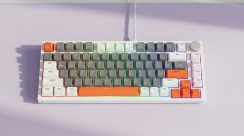 Savio Klawiatura magnetyczna ASTRAL White OUTEMU White jade RGB 3 kolory keycapów
