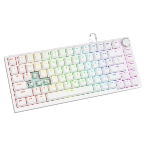 Savio Klawiatura magnetyczna ASTRAL White OUTEMU White Jade Magnetic RGB