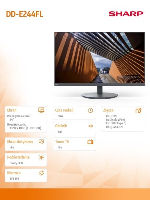 Sharp Monitor MultiSync DD-E244FL 24 cale Czarny