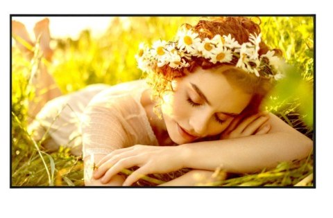 LG Electronics Monitor wielkoformatowy 65UL5Q-E 500cd/m2 UHD 24/7