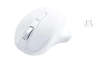 Matias Mysz bezprzewodowa - Wireless USB-C Pro Mouse White
