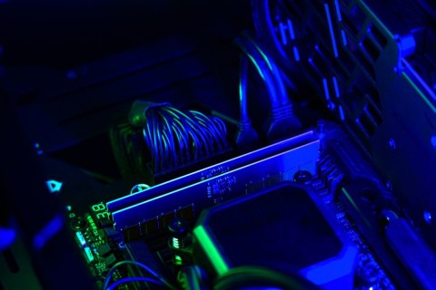 GOODRAM Pamięć DDR5 CUDIMM 32GB(1*32) 6400 CL52
