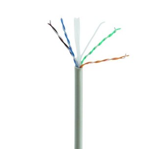 Gembird Kabel CAT6 UTP LAN (premium CCA), drut, Eca, 305 m