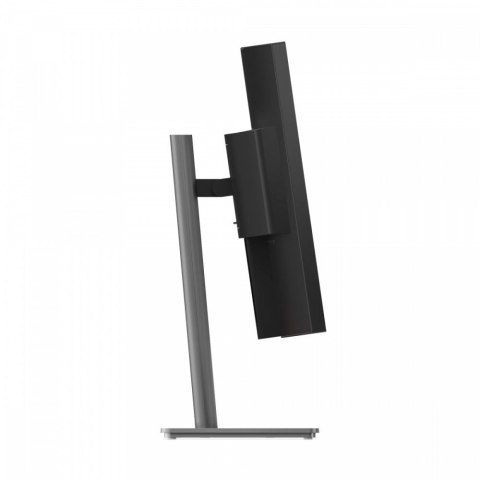 Lenovo Monitor 39.7 cala ThinkVision P40WD-40 64B4YAT1EU