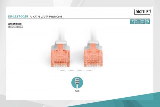 Digitus Patch cord nieekranowany U/UTP Kat.6 AWG 26/7 miedź LSOH 0,25m szary