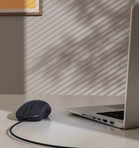 Hama Mysz przewodowa usb-C CM-200 czarna