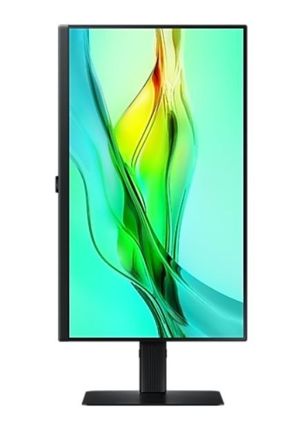 Samsung Monitor 24 cale ViewFinity S60UD IPS 2560x1440 WQHD 16:9 1xHDMI 2xDP 1xUSB-C 90W 3xUSB-A 5ms PinP/PbyP 100Hz HAS+PIV płaski 3YOn