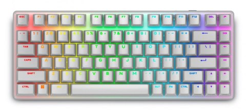 Dell Klawiatura bezprzewodowa Alienware Pro US QWERTY Lunar Light
