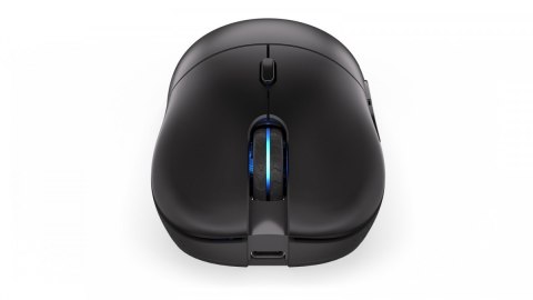 Endorfy Mysz GEM Plus Wireless