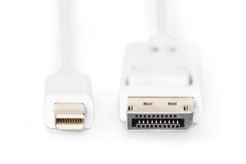 Digitus Kabel połączeniowy Displayport 4K 60Hz UHD Typ miniDP/DP M/M biały 2m Digitus Kabel połączeniowy Displayport 4K 60Hz UHD Typ miniDP/DP M/M biały 2m