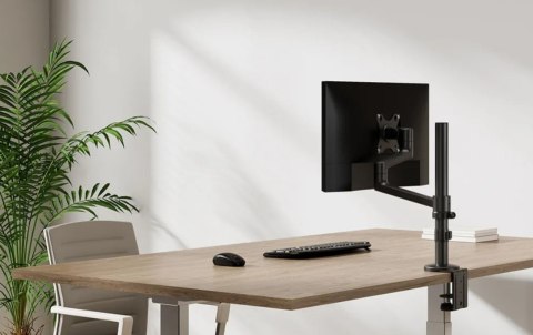 Neomounts Ramię do monitora DS60-425BL1