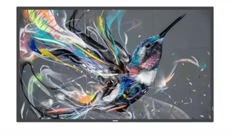 Philips Monitor 65BDL3511Q 65 cali Public Display