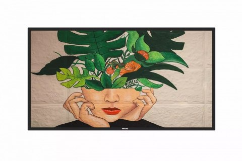 Philips Monitor 65BDL4650D 65 cali Public Display