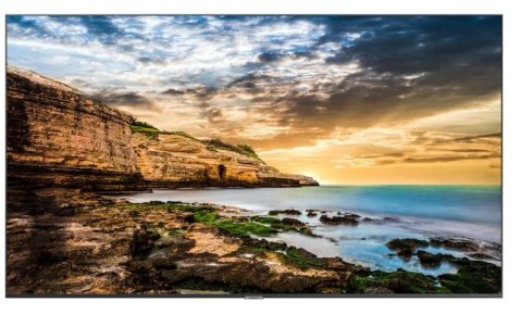 Samsung Monitor profesjonalny QE43T 43 cale Błyszczący 16h/7 300(cd/m2) 3840x2160 (UHD) Lite Player (only) 3 lata On-Site (LH43QETELGC Samsung Monitor profesjonalny QE43T 43 cale Błyszczący 16h/7 300(cd/m2) 3840x2160 (UHD) Lite Player (only) 3 lata On-Site (LH43QETELGC