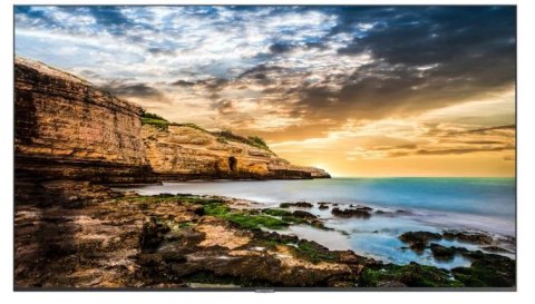 Samsung Monitor profesjonalny QE55T 55 cali Błyszczący 16h/7 300(cd/m2) 3840x2160 (UHD) Lite Player (only) 3 lata On-Site (LH55QETELGC