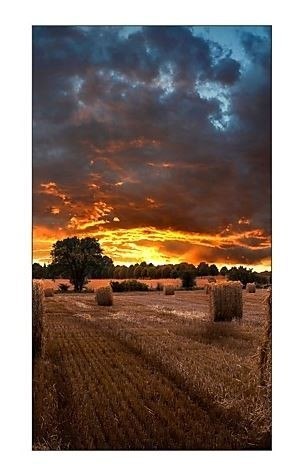 Samsung Monitor profesjonalny VM55B-U 55 cali Video Wall Matowy 24h/7 500(cd/m2) 1920 x 1080(FHD) N/A 3 lata On-Site (LH55VMBUBGBXEN)