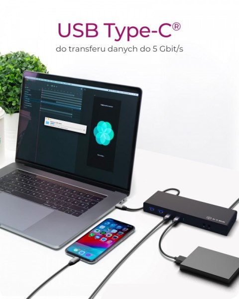 IcyBox Stacja dokująca IB-DK2245AC 13w1, 2xDP,2xHDI,USB, LAN, USB-C, PD do 60W