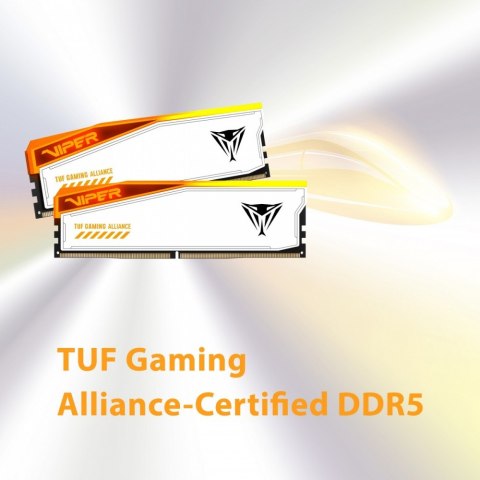 Patriot Pamięć DDR5 Viper Elite 5 RGB TUF 48GB/6600 (2x24GB) CL34