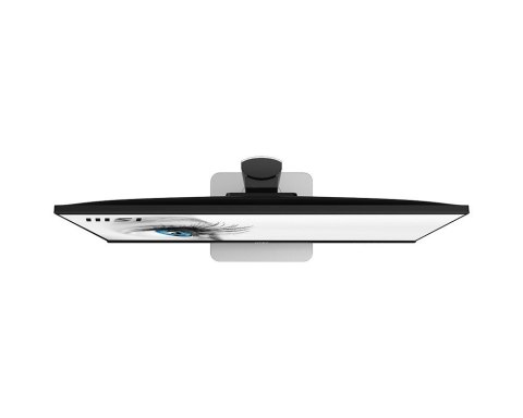 MSI Monitor 27 cali PRO MP273QP FLAT/IPS/WQHD/75Hz/4ms